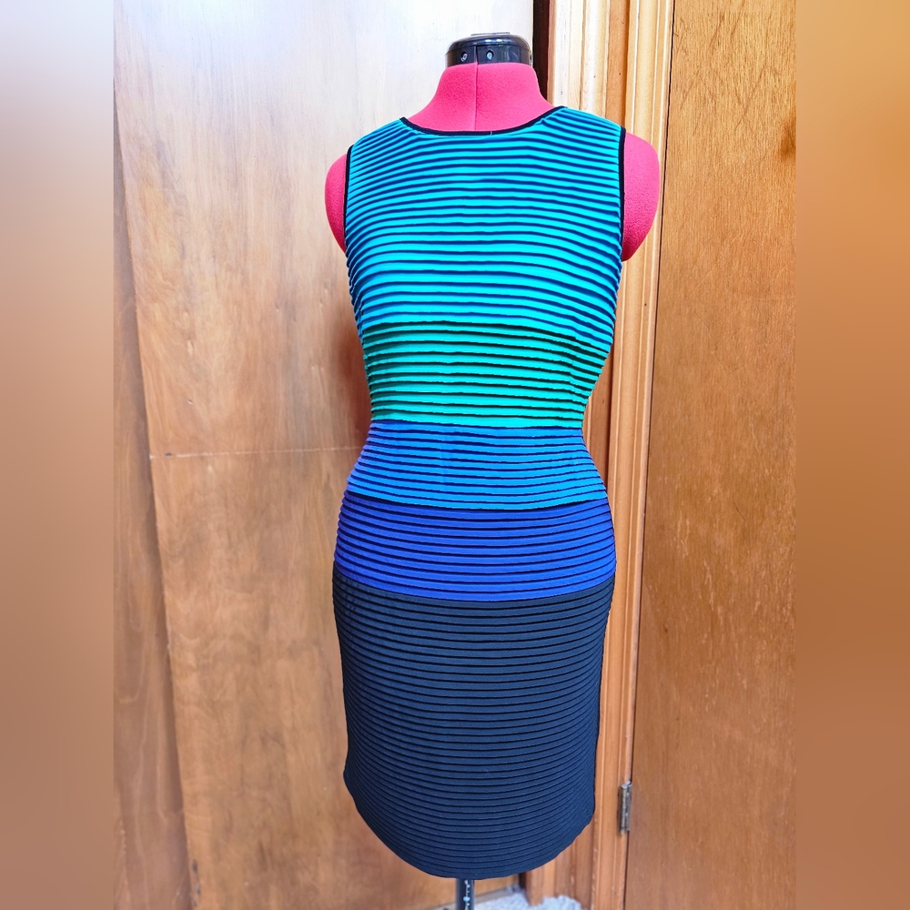 Calvin Klein Striped Blue and Black Midi Dress